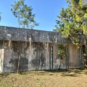 WhatsApp Image 2025-09-11 at 17.24.05 (2)